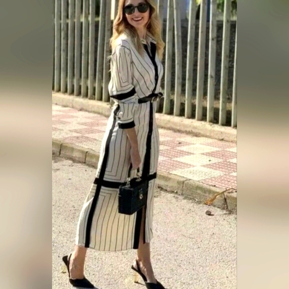 Zara Blogger Faves Striped Button Down Form fitting Maxi Dress - Picture 7 of 15